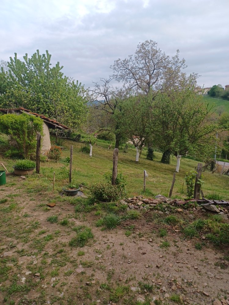 Aire camping-car  Brullioles (69690) - Photo 1